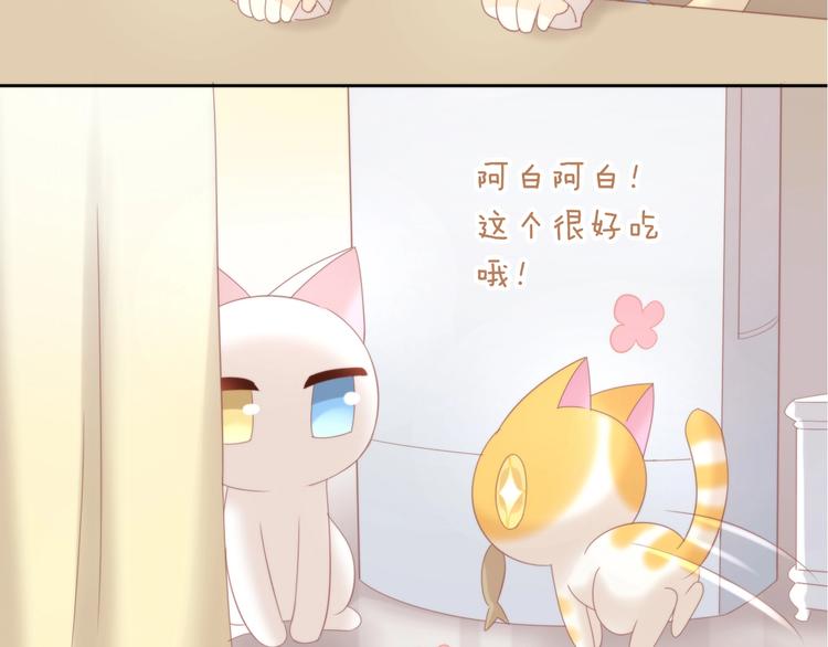 猫爪之下韩漫全集-第100话 离开无删减无遮挡章节图片 