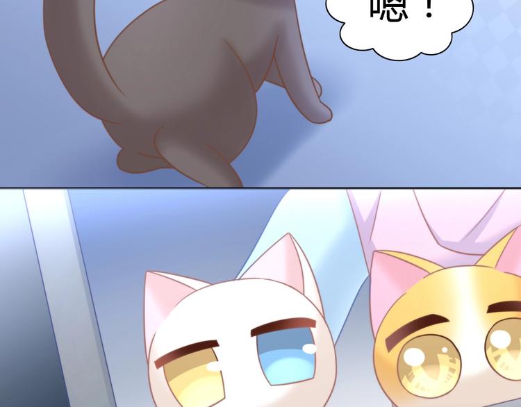 猫爪之下韩漫全集-第100话 离开无删减无遮挡章节图片 