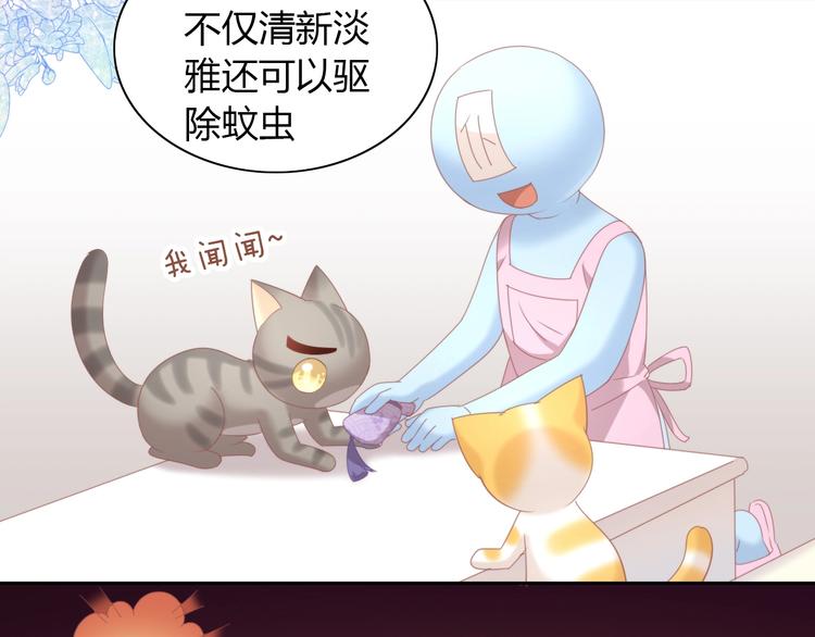 猫爪之下韩漫全集-第101话 端午节礼物无删减无遮挡章节图片 