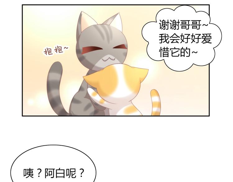 猫爪之下韩漫全集-第101话 端午节礼物无删减无遮挡章节图片 