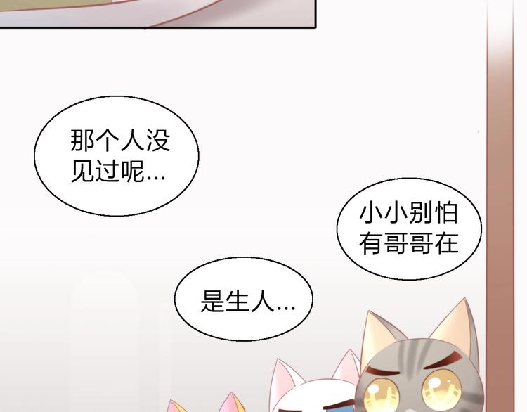 猫爪之下韩漫全集-第103话 迷之制茶师无删减无遮挡章节图片 