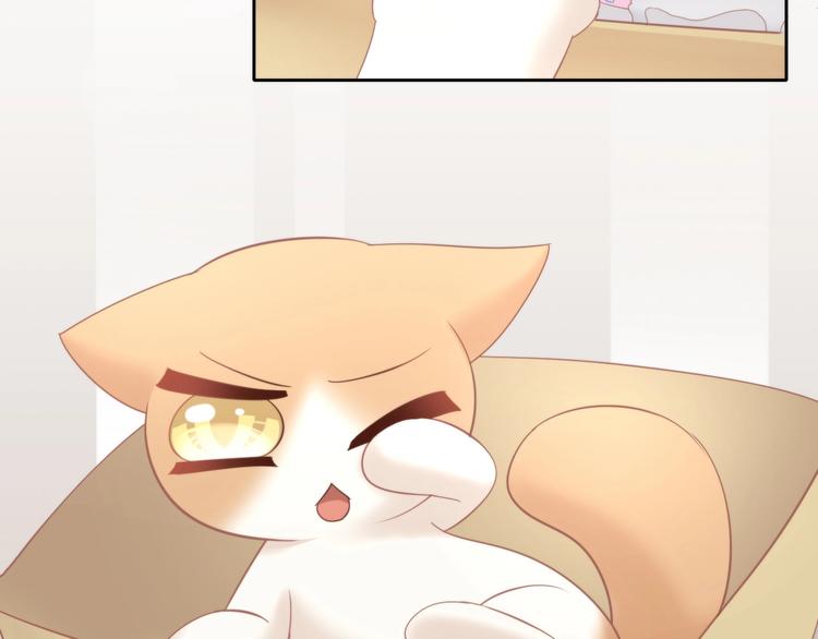 猫爪之下韩漫全集-第103话 迷之制茶师无删减无遮挡章节图片 
