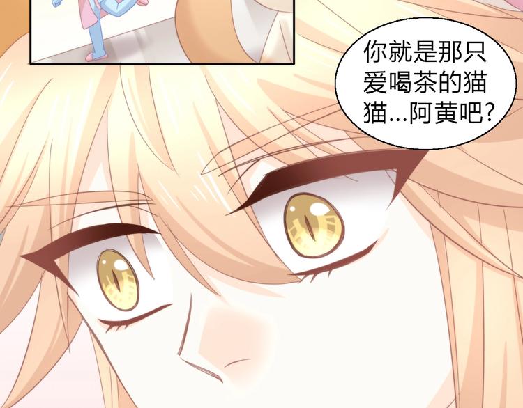 猫爪之下韩漫全集-第103话 迷之制茶师无删减无遮挡章节图片 