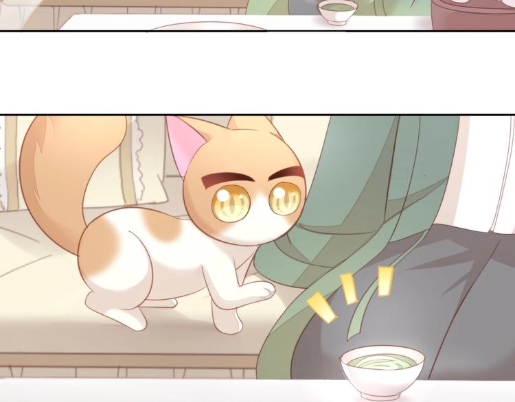 猫爪之下韩漫全集-第103话 迷之制茶师无删减无遮挡章节图片 