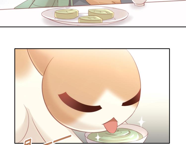 猫爪之下韩漫全集-第103话 迷之制茶师无删减无遮挡章节图片 