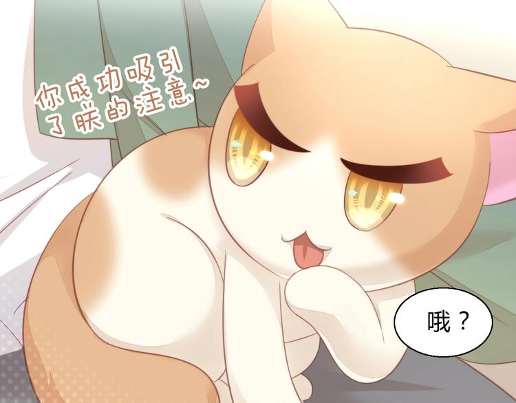 猫爪之下韩漫全集-第103话 迷之制茶师无删减无遮挡章节图片 