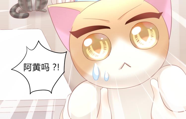 猫爪之下韩漫全集-第103话 迷之制茶师无删减无遮挡章节图片 
