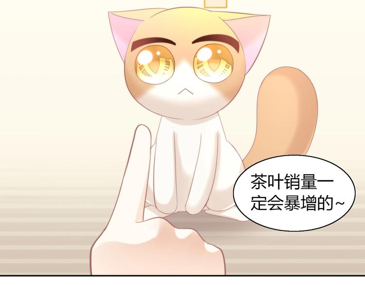 猫爪之下韩漫全集-第104话 照骗无删减无遮挡章节图片 