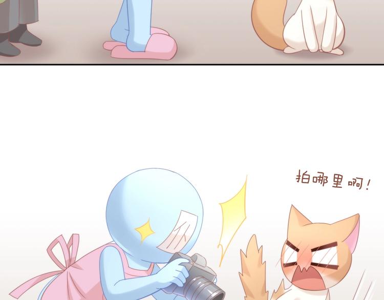 猫爪之下韩漫全集-第104话 照骗无删减无遮挡章节图片 