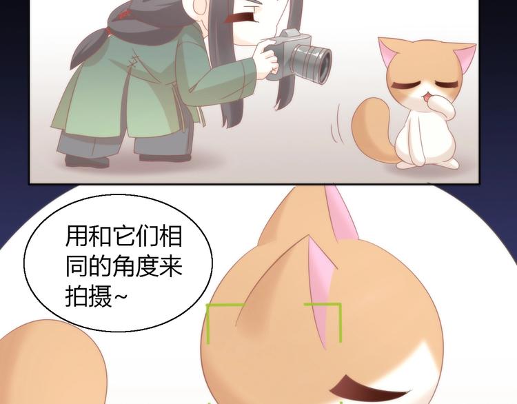 猫爪之下韩漫全集-第104话 照骗无删减无遮挡章节图片 