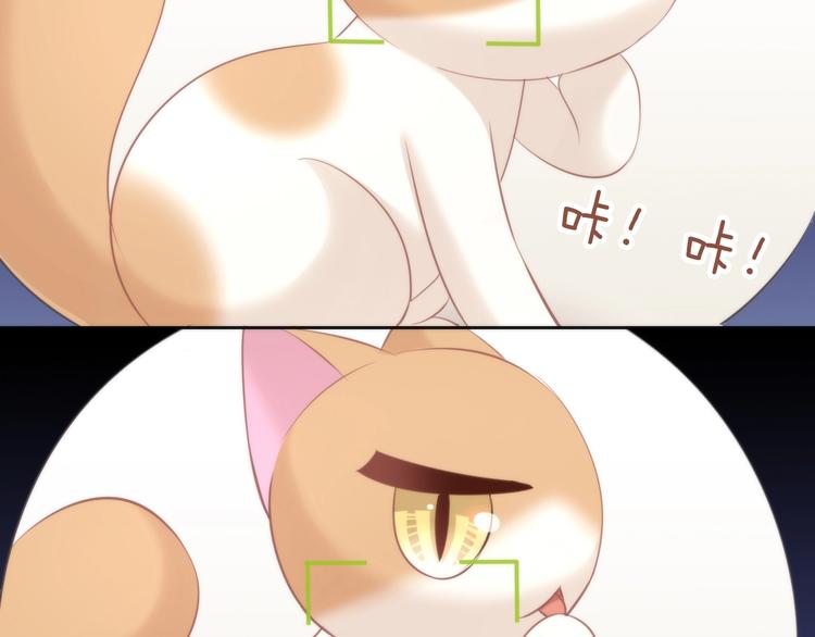 猫爪之下韩漫全集-第104话 照骗无删减无遮挡章节图片 
