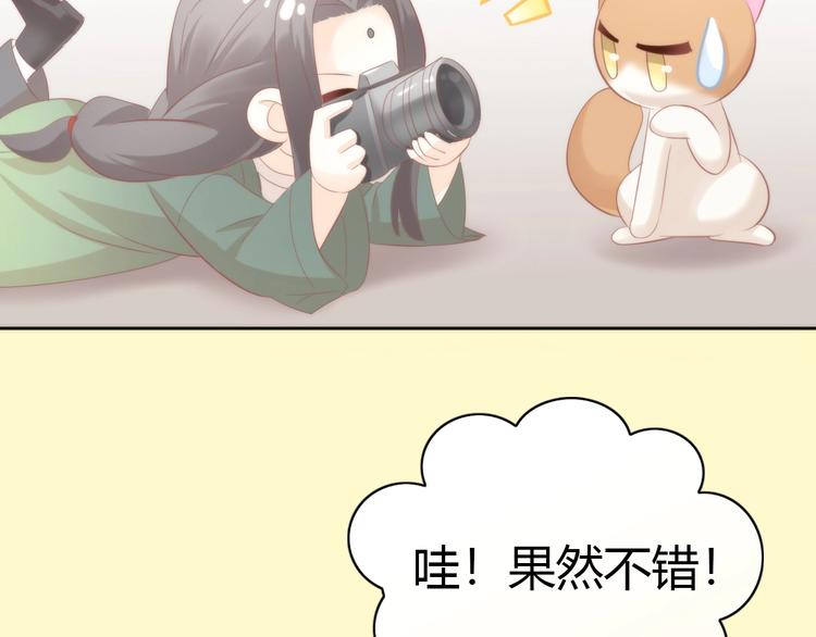 猫爪之下韩漫全集-第104话 照骗无删减无遮挡章节图片 