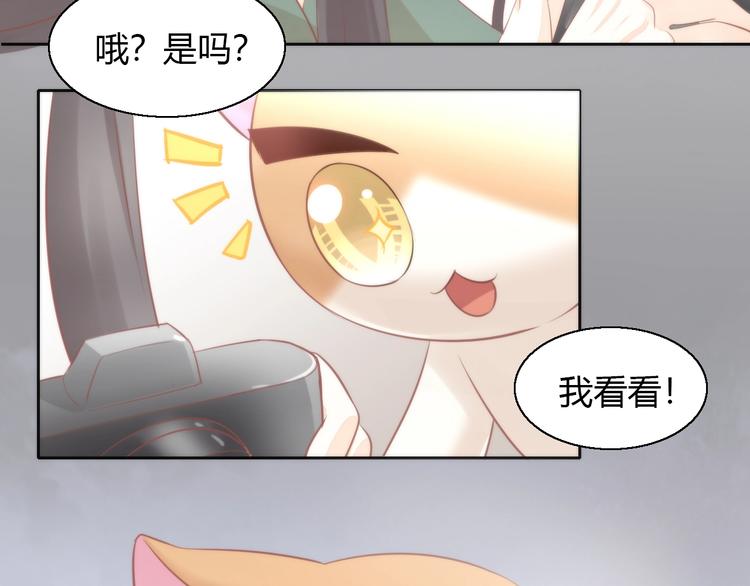 猫爪之下韩漫全集-第104话 照骗无删减无遮挡章节图片 