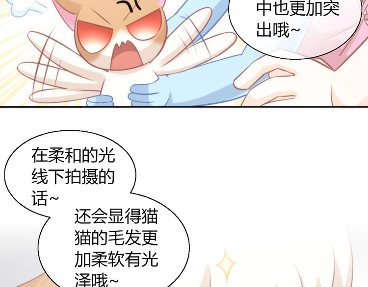 猫爪之下韩漫全集-第104话 照骗无删减无遮挡章节图片 