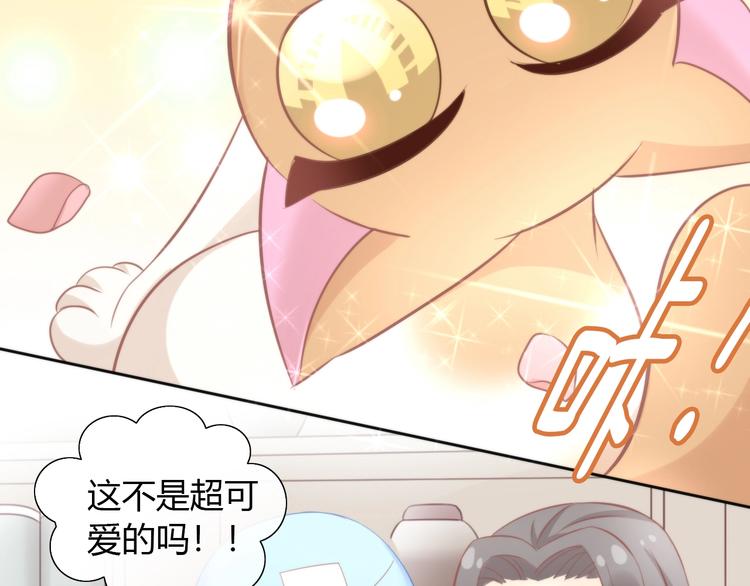 猫爪之下韩漫全集-第104话 照骗无删减无遮挡章节图片 