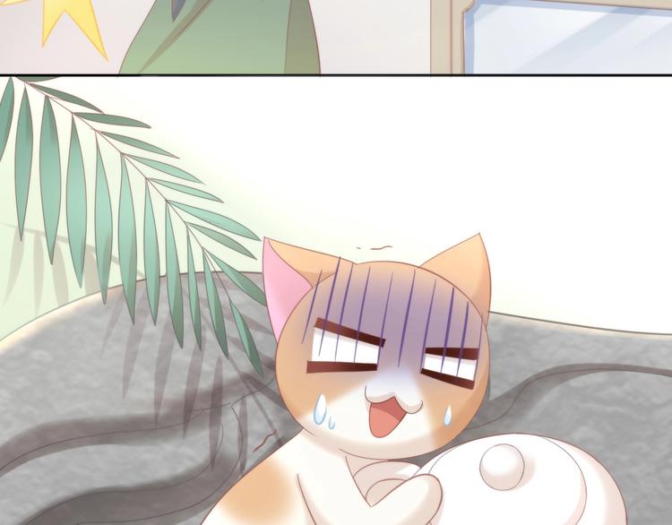 猫爪之下韩漫全集-第104话 照骗无删减无遮挡章节图片 