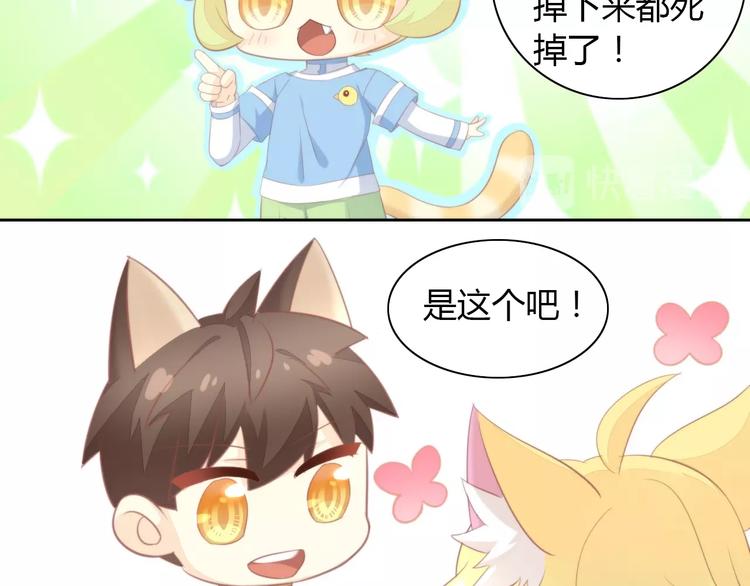 猫爪之下韩漫全集-第105话 蚊子战争无删减无遮挡章节图片 
