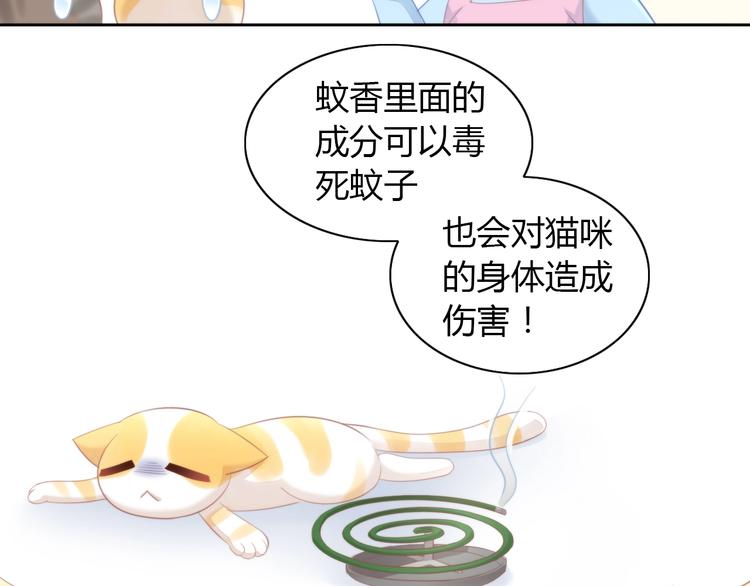 猫爪之下韩漫全集-第105话 蚊子战争无删减无遮挡章节图片 
