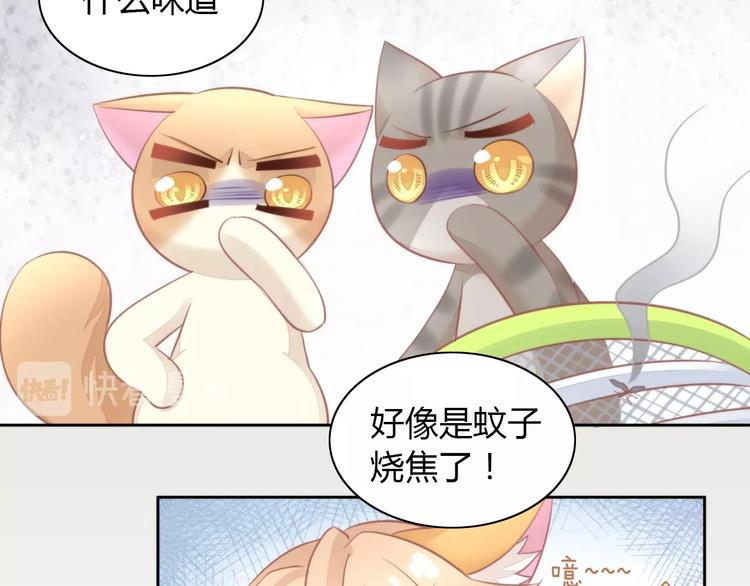 猫爪之下韩漫全集-第105话 蚊子战争无删减无遮挡章节图片 