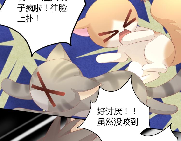 猫爪之下韩漫全集-第105话 蚊子战争无删减无遮挡章节图片 