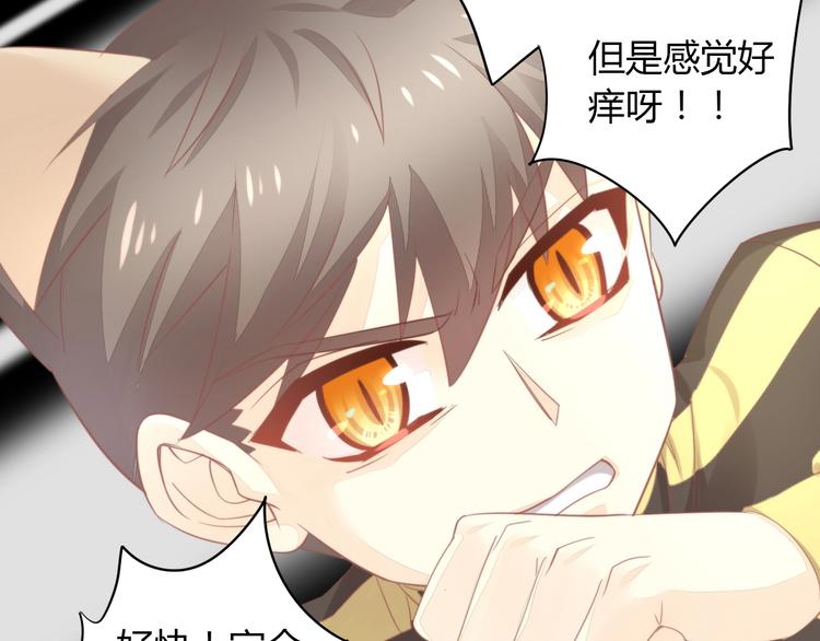 猫爪之下韩漫全集-第105话 蚊子战争无删减无遮挡章节图片 