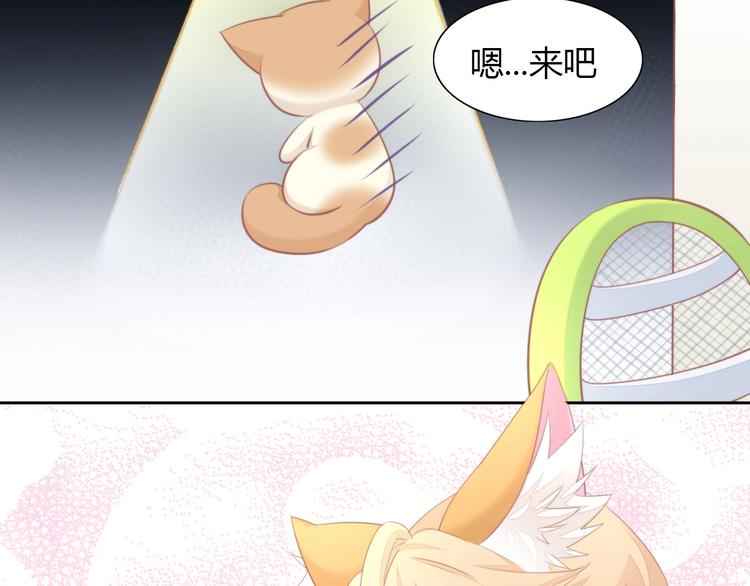 猫爪之下韩漫全集-第105话 蚊子战争无删减无遮挡章节图片 