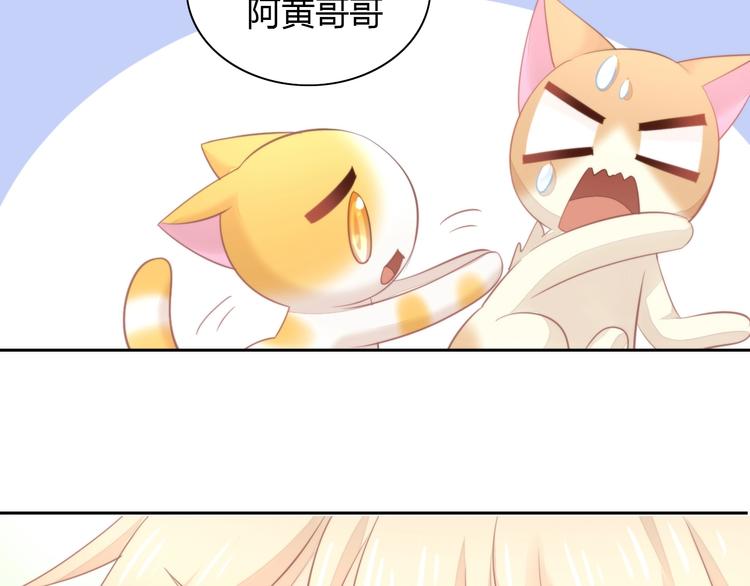 猫爪之下韩漫全集-第105话 蚊子战争无删减无遮挡章节图片 