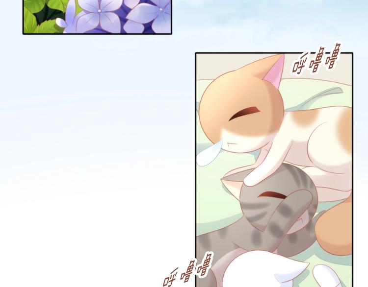 猫爪之下韩漫全集-第106话 猫怕老鼠无删减无遮挡章节图片 