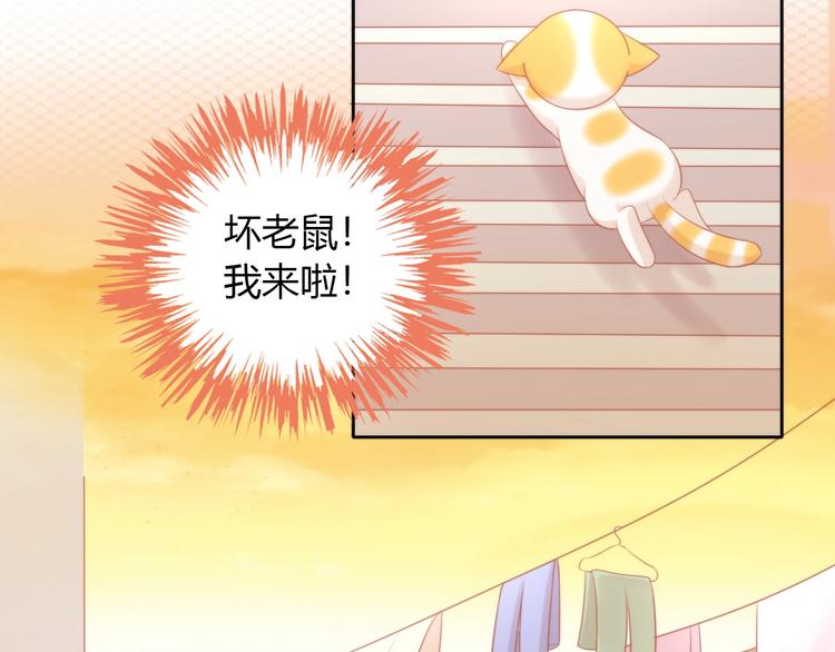 猫爪之下韩漫全集-第106话 猫怕老鼠无删减无遮挡章节图片 