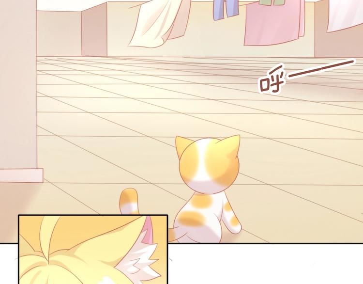 猫爪之下韩漫全集-第106话 猫怕老鼠无删减无遮挡章节图片 