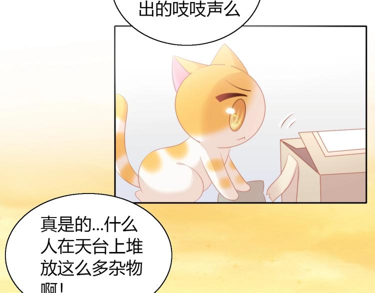 猫爪之下韩漫全集-第106话 猫怕老鼠无删减无遮挡章节图片 