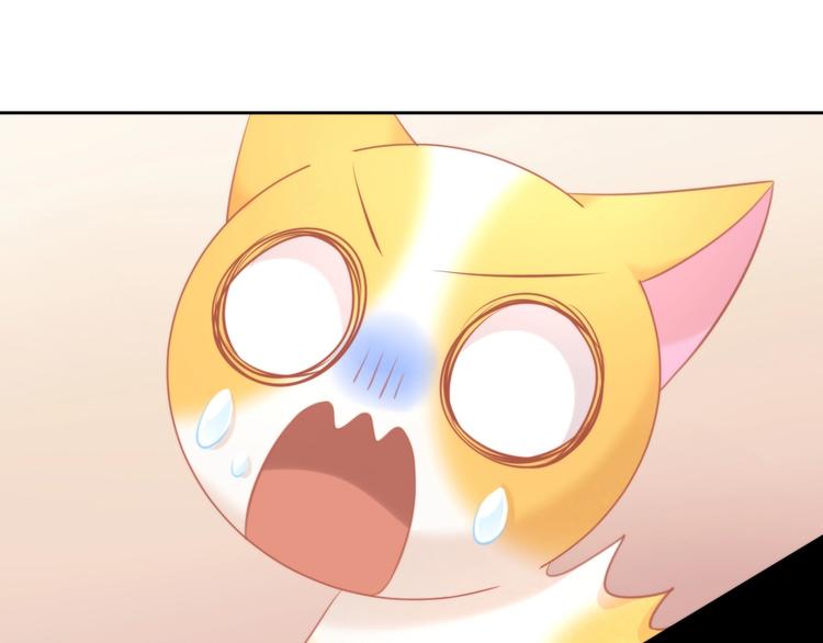 猫爪之下韩漫全集-第106话 猫怕老鼠无删减无遮挡章节图片 