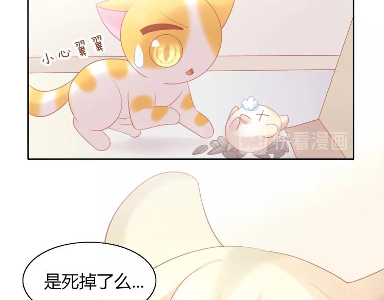 猫爪之下韩漫全集-第107话  仓鼠式晕厥无删减无遮挡章节图片 