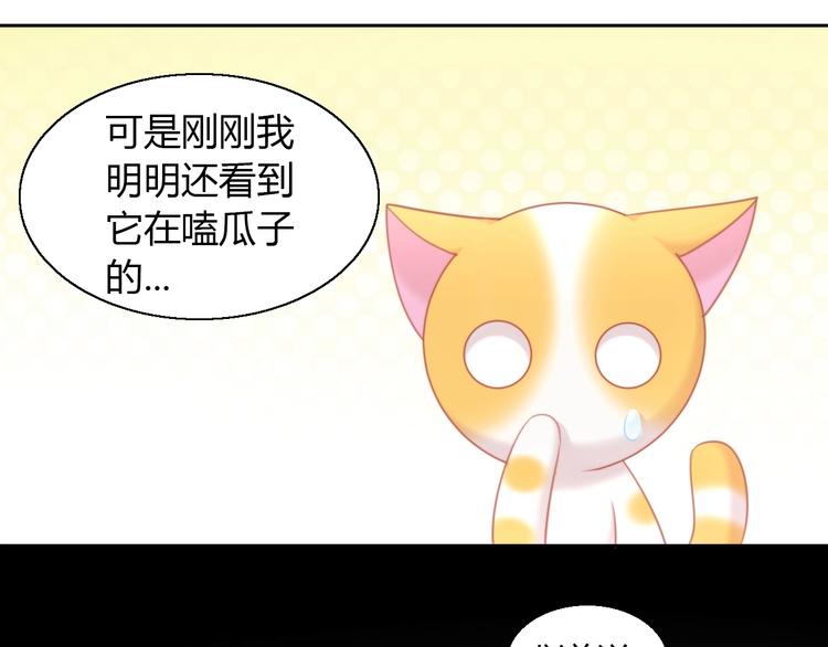 猫爪之下韩漫全集-第107话  仓鼠式晕厥无删减无遮挡章节图片 