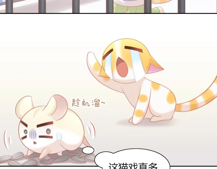 猫爪之下韩漫全集-第107话  仓鼠式晕厥无删减无遮挡章节图片 