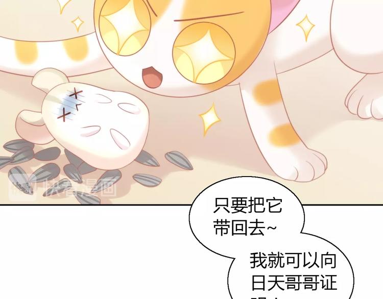 猫爪之下韩漫全集-第107话  仓鼠式晕厥无删减无遮挡章节图片 
