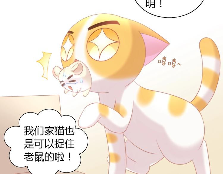 猫爪之下韩漫全集-第107话  仓鼠式晕厥无删减无遮挡章节图片 