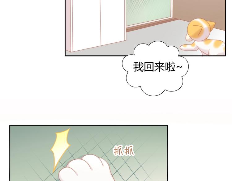 猫爪之下韩漫全集-第107话  仓鼠式晕厥无删减无遮挡章节图片 