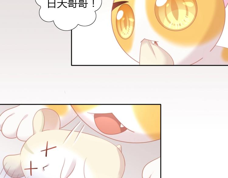 猫爪之下韩漫全集-第107话  仓鼠式晕厥无删减无遮挡章节图片 