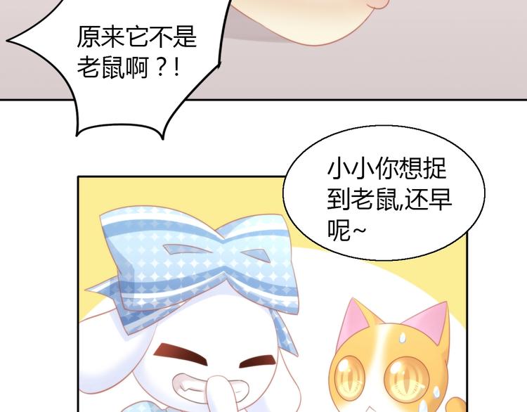 猫爪之下韩漫全集-第107话  仓鼠式晕厥无删减无遮挡章节图片 