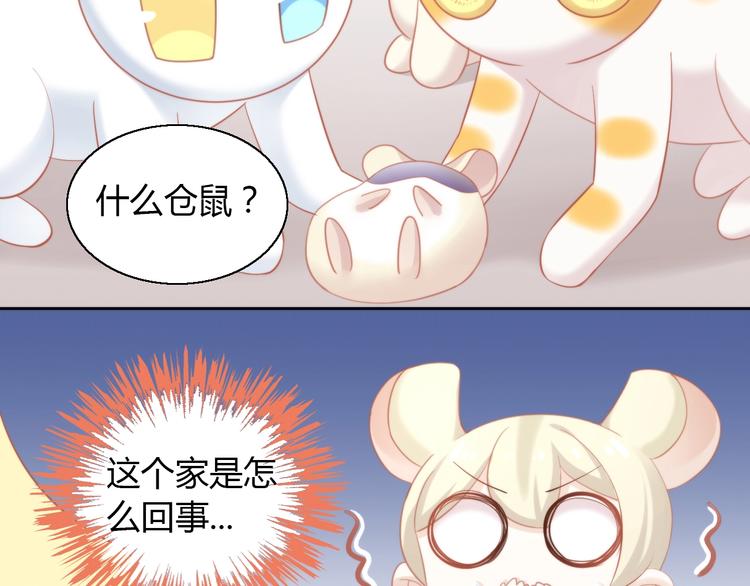 猫爪之下韩漫全集-第107话  仓鼠式晕厥无删减无遮挡章节图片 