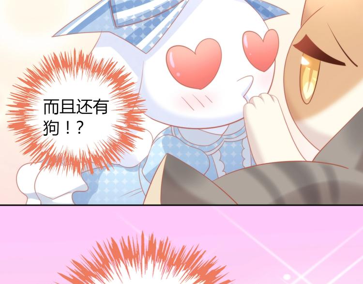 猫爪之下韩漫全集-第107话  仓鼠式晕厥无删减无遮挡章节图片 