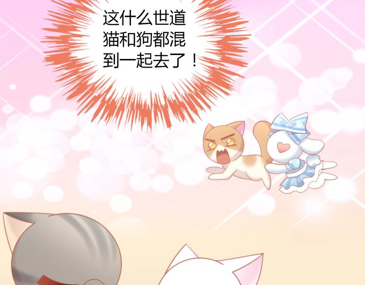 猫爪之下韩漫全集-第107话  仓鼠式晕厥无删减无遮挡章节图片 