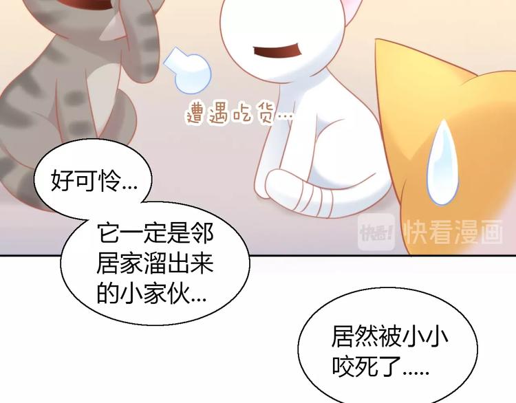 猫爪之下韩漫全集-第107话  仓鼠式晕厥无删减无遮挡章节图片 
