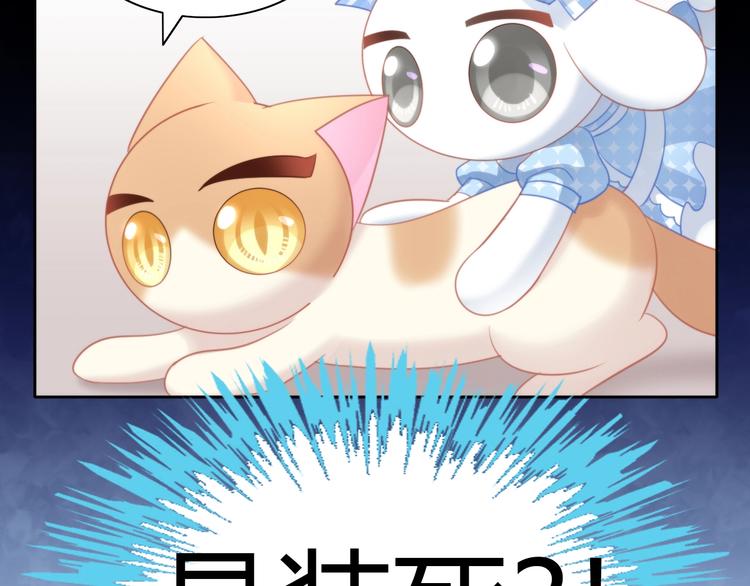 猫爪之下韩漫全集-第107话  仓鼠式晕厥无删减无遮挡章节图片 
