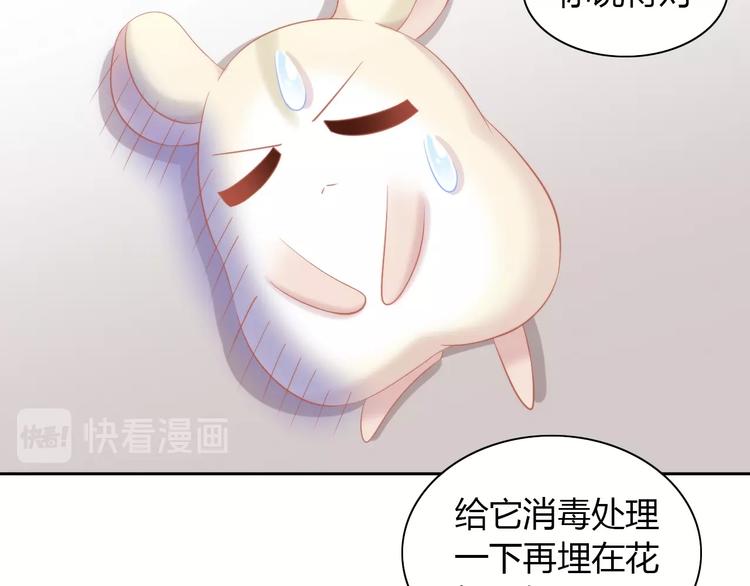 猫爪之下韩漫全集-第107话  仓鼠式晕厥无删减无遮挡章节图片 
