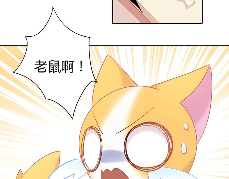 猫爪之下韩漫全集-第107话  仓鼠式晕厥无删减无遮挡章节图片 