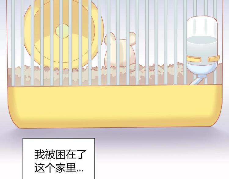 猫爪之下韩漫全集-第108话 仓鼠也有梦想！无删减无遮挡章节图片 