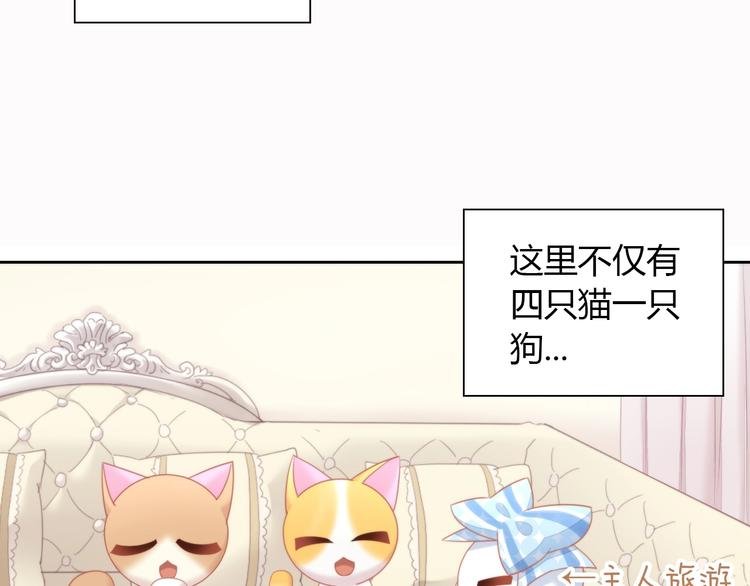 猫爪之下韩漫全集-第108话 仓鼠也有梦想！无删减无遮挡章节图片 