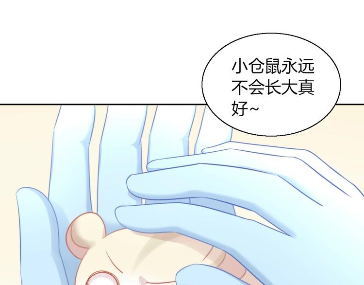 猫爪之下韩漫全集-第108话 仓鼠也有梦想！无删减无遮挡章节图片 